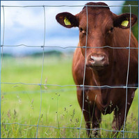 Clôture en fil de fer à haute résistance pour bétail 4/5/6 pieds - Rouleau de clôture agricole en acier galvanisé - Bordure de pâturage pour bétail, solide et durable