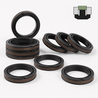 Kit de joints de piston OEM Minus30C SPGW à faible chaleur et contact étanche, taille personnalisée, pour vérin de levage, kit de joints de remplacement à faible usure