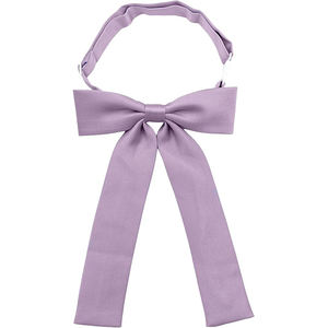 Women's Striped Satin <b>Tie</b> Custom Color Butterfly Knot Design Fashionable Hotel Clerk Waitress Neck Wear 2025 Ribbon <b>Ties</b> - Product Image 1