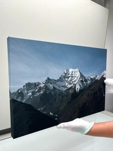 Arte de Pared en Lienzo Personalizado, Impresión en Lienzo Enmarcada, Arte de Pared con Foto Personalizada, Decoración de Pared en Lienzo, Póster de Lienzo Personalizado - Product Image 1