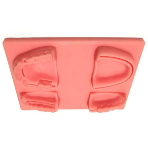 Kit de suture dentaire de qualité supérieure pour la formation en dentisterie, kit de formation à la suture orale pour les étudiants, kit de suture dentaire - Product Image 3