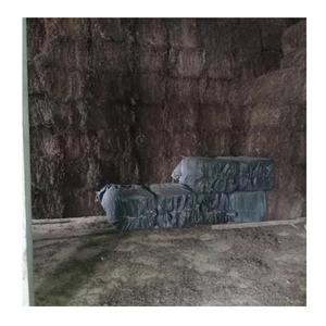 Hojas de gelatina de hierba seca exportadas por Vietnam, 99 DATOS DE ORO para gelatina y bebidas herbales, producto agrícola de calidad - Product Image 6