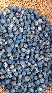 POIVRE NOIR DE QUALITÉ SUPÉRIEURE DU VIETNAM, SPICE EN GROS, TRÈS ÉPICÉ, 500-570G/L, NETTOYÉ ET PROCÉSÉ - Product Image 6