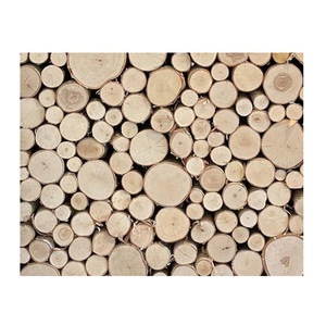 Gỗ tròn gỗ bạch dương sấy khô để xuất khẩu-Tuân thủ ispm 15 - Product Image 5