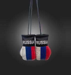 Mini gants de boxe personnalisés pour accessoires de voiture RUSSIE drapeau Mini drapeau gants de boxe pour voiture - Product Image 3