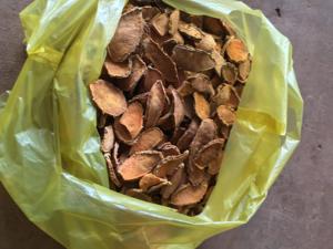 Tranches de curcuma séchées de haute qualité, tranches épaisses de curcuma, tranches fines de curcuma, Vietnam, sac de 500 grammes, Sophie - Product Image 4