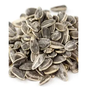 High quality organic Melon seeds wholesale bulk fresh fry Sunflower seeds kernel