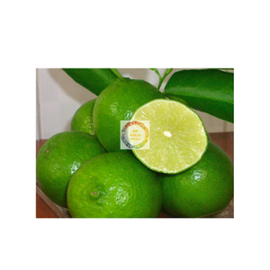 Limón sin semillas orgánico Premium al mejor precio de Vietnam Cosecha fresca Pedido a granel Bienvenido con entrega rápida - Product Image 3