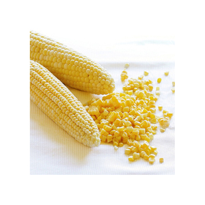 ข้าวโพดสีเหลือง/ข้าวโพดสีเหลืองสำหรับข้าวโพดเลี้ยงสัตว์ข้าวโพดคั่วข้าวโพดสีเหลือง/ข้าวโพดสีเหลืองที่ไม่ใช่จีเอ็มโอสำหรับการบริโภคของมนุษย์ - Product Image 2