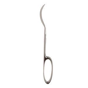 Haute Qualité 270mm Lane Os Levier Pleine Courbe Orthopédique Anneau Poignée 10mm Large Allemand En Acier Inoxydable Chirurgical Medic Instrument - Product Image 4