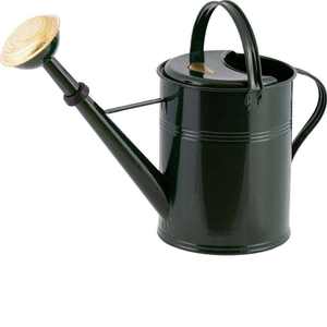 Regadera de metal robusta diseñada para el cuidado diario de las plantas, que ofrece un acabado duradero y un rendimiento de riego constante y suave. - Product Image 5