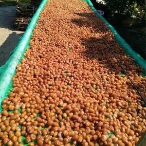 Ramboutan séché doux Chewy fruits tropicaux pour l'exportation - Product Image 3