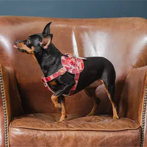 Pemasok hewan peliharaan premium kulit mewah dapat diperpanjang kualitas terbaik harness anjing
