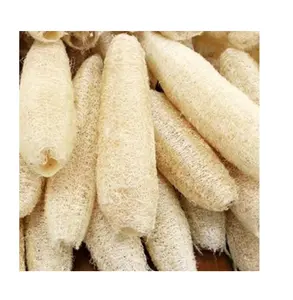 Good Price Dried Whole Long Loofah Ready to Ship from Vietnam 100% Natural Eco Friendly Luffa Scrub Sponge