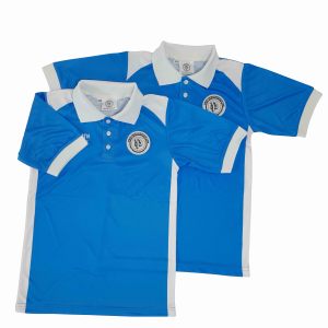 Polo personnalisé pour homme bleu royal |   Vêtements de sport d'équipe avec panneaux contrastés blancs |   T-shirt de golf décontracté à manches courtes, vente en gros de vêtements - Product Image 1