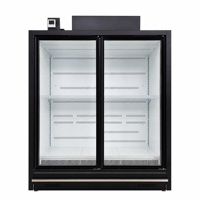 Congélateur Commercial Grande Capacité à Porte Vitrée pour Supermarché avec Refroidissement par Air et Compresseur Haut de Gamme
