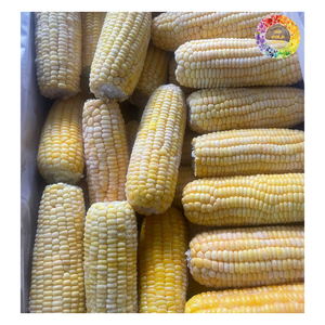 Núcleo de maíz dulce IQF, maíz blanco/amarillo hervido congelado, 100% granos de maíz glutinoso blanco al vapor congelados naturales - Product Image 1