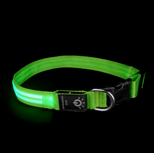 <span class=keywords><strong>Collar</strong></span> LED para Perro, <span class=keywords><strong>Collar</strong></span> Luminoso para Perro con Luces Recargables por USB, <span class=keywords><strong>Collar</strong></span> de Seguridad Ajustable, Cómodo y de Malla Suave para Perros Pequeños - Product Image 5