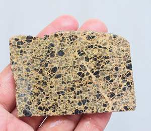 Orbicular Rough <b>Slice</b> - Product Image 3