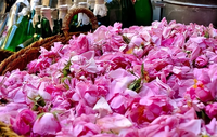 Huile essentielle de Rose marocaine, Essence de Rose berbère faite à la main, produits cosmétiques traditionnels marocains