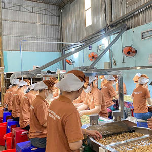 Meilleur tarif Noix et amandes Noix de cajou Santigo Vietnam W320 Bonne qualité Vente en gros Exportée vers l'UE, Moyen-Orient - Product Image 1