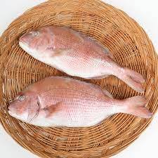 Filet de poisson de dorade rouge congelé meilleure haute performance - Product Image 5