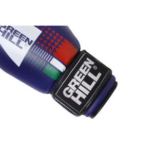 Guantes de Boxeo Green Hill con Estampado de Leopardo Personalizados para Niños, Guantes de Entrenamiento de Cuero PU con Cordones en la Muñeca, Tallas 10oz 12oz 14oz 16oz - Product Image 1