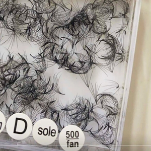 Extensions d'éventail de cils Camelia 6D faites à la main emballage de plateau de beauté fabricant vietnamien numéro de modèle facile - Product Image 5