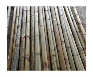 Venta al por mayor de caña de bambú, material ecológico natural de alta calidad, de proveedor de fábrica de Vietnam listo para exportar - Product Image 4