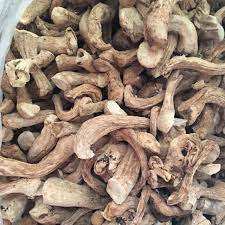 Tige de champignon pour l'exportation Tige de champignon du fournisseur du Vietnam Meilleure vente de tige de champignon - Product Image 5