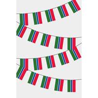 Drapeau Gambien Personnalisé 3x5ft Rectangulaire – Guirlande de Fanions Numériques Variés (Coton, Nylon, Plastique)