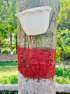 Jardinière moderne multicolore en plastique suspendue avec bord ondulé pour arbre et pot de fleurs de jardin mural - Product Image 4