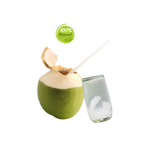 Coco Vietnamita de Primera Calidad, Fresco, Semi-Descascarado, Agrícola, de 12 a 15 cm, Fruta Subtropical Dulce, Coco Joven Madurado - Product Image 2