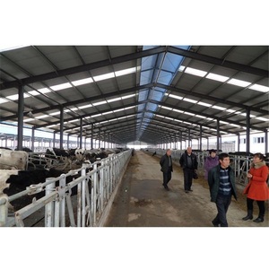 Granja de vacas <span class=keywords><strong>lecheras</strong></span> granja de vacas establo industrial ganadera cobertizo lechero - Product Image 6