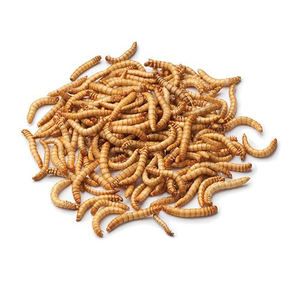 Gusanos de harina secos ecológicos naturales de primera calidad para alimentos de animales alimentos para mascotas - Product Image 4