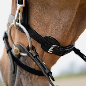 FANTAISIE DÉCORATIF JUMPING HORSE BRIDLE FABRICANT CHEVAL camouflage à la mode Fantaisie Bande amovible bride Fabricant - Product Image 4