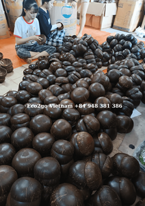 Meilleure vente 2025!!! Bol en coquille de noix de coco naturelle/bol en noix de coco bols en noix de coco naturels/laqués fabriqués au Vietnam - Product Image 4