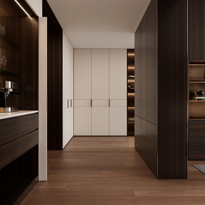 Ưu Đãi Trực Tiếp Từ Nhà Máy Ngăn Kéo Tủ Tường Tủ Quần Áo Móc Treo Phòng Ngủ Đồ Nội Thất Phòng Khách Phong Cách Không Khung Kiểu Châu Âu Thiết Kế Mới - Product Image 4