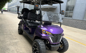 Voiturette de golf électrique tout-terrain 4 places, violette, 72V 5KW, carrosserie en acier, 30-50 km/h, certifiée DOT - Product Image 3