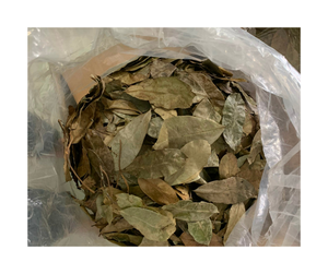 จากฟาร์มในเวียดนามสู่ตลาดระดับโลก ใบมะขามป้อมอบแห้งคุณภาพสูง จำหน่ายส่งจำนวนมาก โดยผู้ผลิตที่เชื่อถือได้จากเวียดนาม - Product Image 5