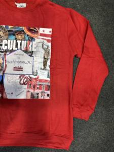 Logo personnalisé de haute qualité 100% sweats à capuche en molleton de coton pour homme pull léger sweats pour hommes DTF impression d'autocollants - Product Image 3