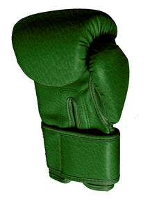 IBERIA Guantes de boxeo profesionales Premium de alta calidad personalizados al por mayor cómodos duraderos para hombres/mujeres para artes marciales - Product Image 3