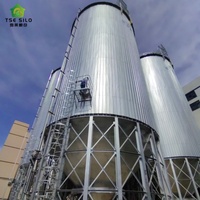 Bac à grain galvanisé de 1000 à 2000 tonnes pour ferme et élévateur à grain |   Silo en acier à installation rapide