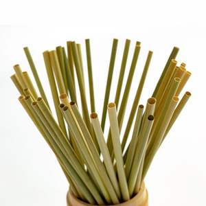 Las pajitas de hierba de bambú originales/Las pajitas de hierba pueden personalizar el embalaje con alta calidad de Eco2go Vietnam - Product Image 5