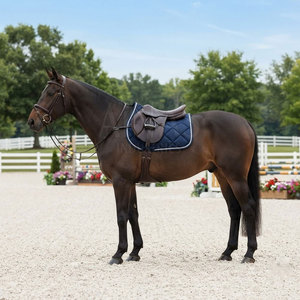 Tapis de selle respirant et absorbant les chocs pour l'équitation, anti-humidité, confortable, léger et personnalisable - Product Image 6