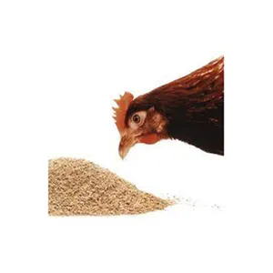 Alta qualità di pollo alimentazione all'ingrosso alta produttore nuovo miglior materiale con tasso a buon mercato