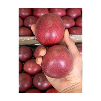 Concurrerende Prijs Passievrucht Nieuwe Seizoen Crop Verse Aangepaste Grootte Oranje Geel Groen Top Kwaliteit Bestseller Groothandel Del