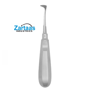 EXPORTATEURS et fabricant de RACINES en acier inoxydable de haute qualité SELDIN fig 1R - Product Image 1