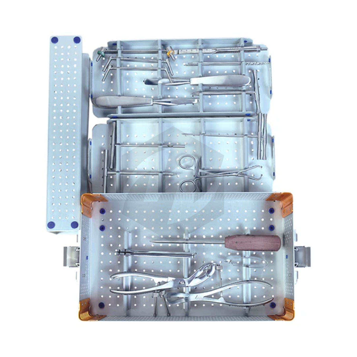 Ensemble de fragment d'os