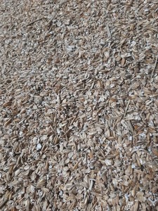 Mélange mouton et agneau - Product Image 4